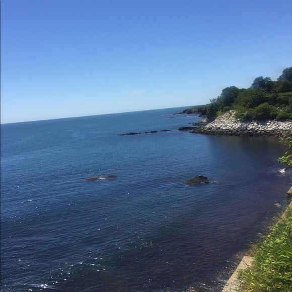 Meet your Posher, Hayden - Picture 1 of 1